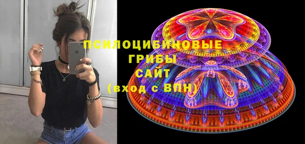ПСИЛОЦИБИНОВЫЕ ГРИБЫ Каменск-Шахтинский