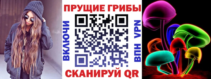 мега tor  Пенза  Псилоцибиновые грибы Cubensis  купить  